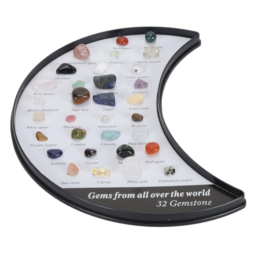 Dekaim Stein-Sammelset Für Kinder, Exquisites Naturwissenschafts-Klassenzimmer, Steine und Mineralien-Sammlung, Mineralien-pädagogisches Wissenschafts-Set(16.00 * 14.00 * 2.00cm)