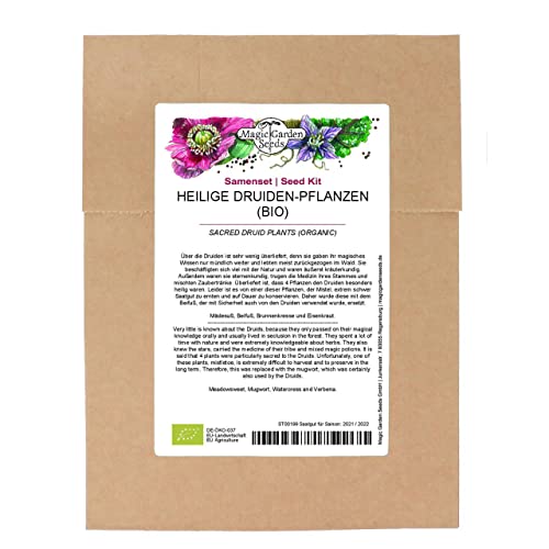 piante sacre druidiche (biologiche) - set di semi con 4 piante magiche dei druidi celtici.