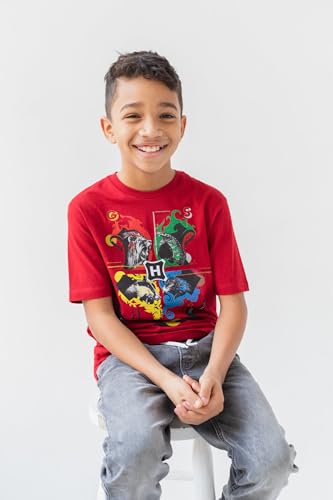 Harry Potter 3 Pack T-Shirts Little Kid to Big Kid4