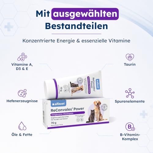 Alfavet ReConvales Power Paste - Ergänzungsfutter für Hund & Katze, 70 g