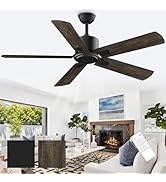 Amazon.com: CLUGOJ Ceiling Fan with Remote, 52-inch Outdoor
