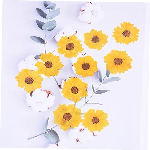 LALAFINA 120 Peças Faça Você Mesmo Em Relevo Acessórios De Artesanato Faça Você Mesmo Flores Secas D