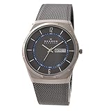 SKAGEN[スカーゲン] skw6078 Aktiv Steel Mesh Grey Titanium グレイガンメタル チタニウム mens メンズ 腕時計 [並行輸入品]
