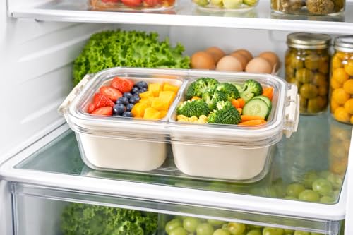 Image of Vasukie Divided Fridge Storage Boxes With 4 Serving Veggie Tray with Lid and Handle, Fridge Organizer with Removable 4 Compartment, Fridge Storage Containers (2 Small Compartment - 1PC)