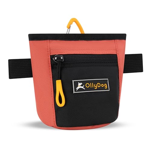 OllyDog Goodie Treat Bag, Dog Treat Pouch, Waist Belt Clip for Hands-Free Training, Magnetic Closure, Dog Training and Behavior Aids, Three Ways to Wear (Reef)