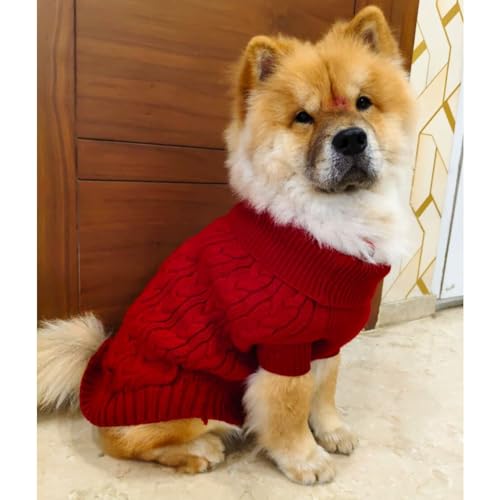 Image of Lulala Dog Sweater for Winter | Warm Knitted Woolen Sweater for Small & Medium Dogs | Cozy Cable Knit Pullover for Pets | Soft & Stretchable Winter Dog Clothes