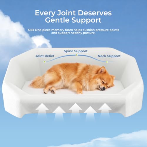 Aurapaws Orthopedic Dog Bed for Medium Small Dogs up to 120lbs, 48D Extra Thick One-Piece Memory Foam Dog Bed, Never Sag Pet Sofa Couch with 3 Removable Washable Covers (Plush, Cooling, Leather) & Toy — view 3