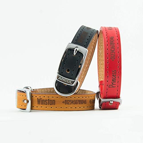 Dog Collars Ancol Personalised Dog Collar Heritage Leather Leads