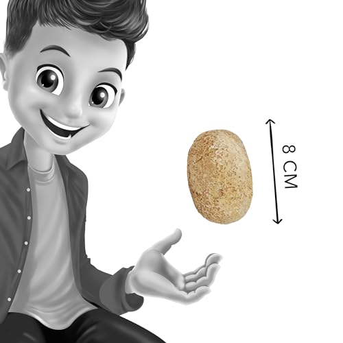 Buki Dinos Uf - vue 6