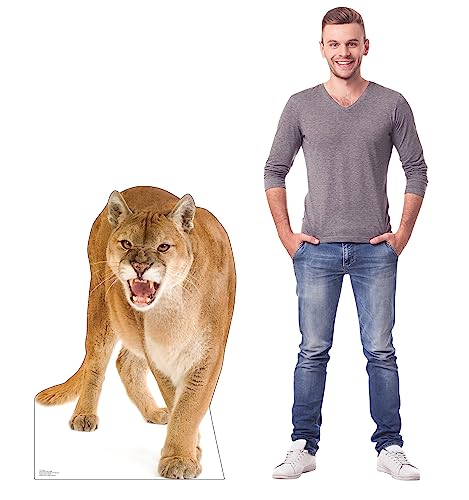 Image of Cardboard People Cougar Life Size Cardboard Cutout Standup - Made in USA