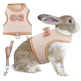 AIITLE Soft Breathable Bunny Harness Set - Escape-Proof Adjustable Vest, Lightweight Reflective Leash for Running, Hiking - Fits Rabbits, Guinea Pigs, Kittens Beige S