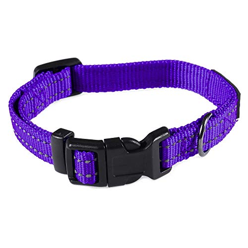 Image of Max and Neo NEO Nylon Buckle Reflective Dog Collar - We Donate a Collar to a Dog Rescue for Every Collar Sold (X-Small, Purple)