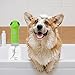Fresh Dog Shampoo | 25 ml | Bestes Fellpflege-Shampoos | Bestes Welpen-Shampo | Elektrisch schäumender Shampo Spender | Welpen- und stinkendes Haustier, das entwirrt und Feuchtigkeit spendet