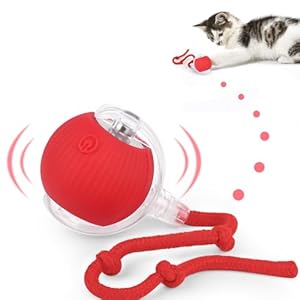 Katzenspielzeug Elektrisch Katzenball mit LED Licht, Interaktives Katzenspielzeug Katzenball, 360-Grad-Ball Automatischer Modellierung Katzenball mit Seil, USB Wiederaufladbarer für Katzen