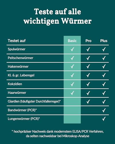 vetevo Wurmtest Hund Basic, Präziser Hunde Wurmtest, Test auf Parasiten wie Spulwürmer, Hakenwürmer & Kokzidien, Ergebnis in 12h, Für alle Hunde