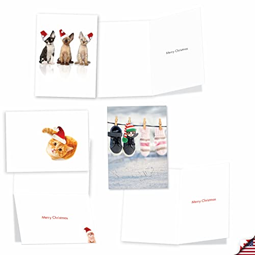 The Best Card Company - 12 Assorted Christmas Cards Bulk - Cute Boxed Greeting Card Assortment, Kids Xmas - Merry Catsmas A5647Xsg-B1X12 #TOP5