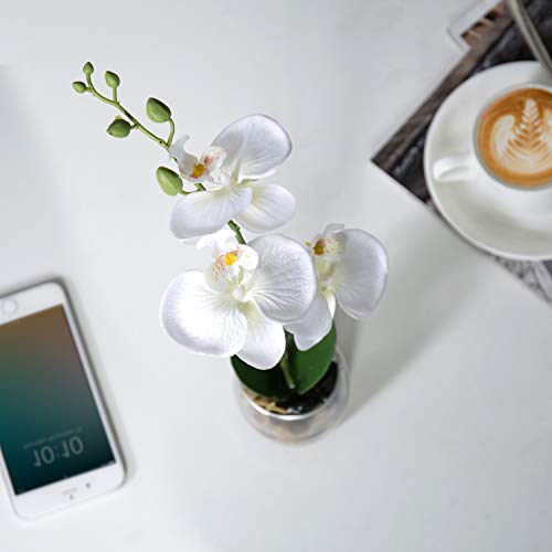 Mygift 12-Inch Synthetic White Silk Artificial Phalaenopsis Orchid In Glass Vase #TOP2