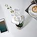 MyGift 12-Inch Synthetic White Silk Artificial Phalaenopsis Orchid in Glass Vase