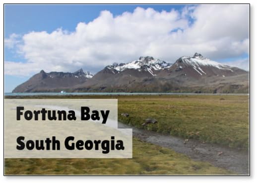 View of The Coastal Plain at Fortuna Bay, South Georgia., Design 2, Fridge Magnet