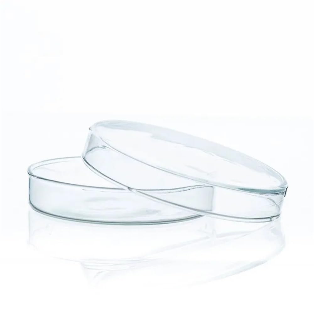 Attrezzature e forniture di laboratorio 1 lotto/5 pezzi da 100 mm in vetro borosilicato 3. for laboratorio