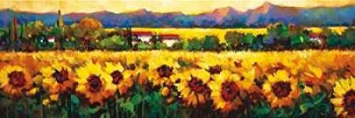 Posterazzi Sweeping Fields of Sunflowers Poster Print by Nancy OToole, (12 x 36)