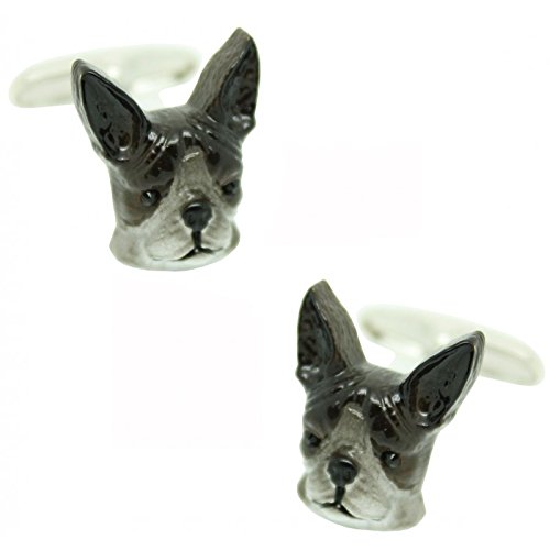 Gemelos Boston Terrier perfectos para bodas y eventos de gala