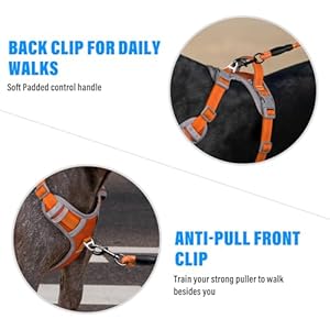 Plutus Pet No Pull Dog Harness, Release At Neck, Reflective Adjustable Dog Vest Harness, Easy Control Handle for Walking, for Small Medium Large Dogs, Orange, S