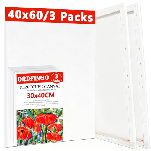 Image of Ordfingo Stretched Canvas for Painting 30x40CM, 40x60CM- 6 Packs, Blank Artist Canvases with Wedges, 280GSM, Triple Primed, Acid Free Painting Canvas Boards for Acrylic, Oil, Watercolor Paint