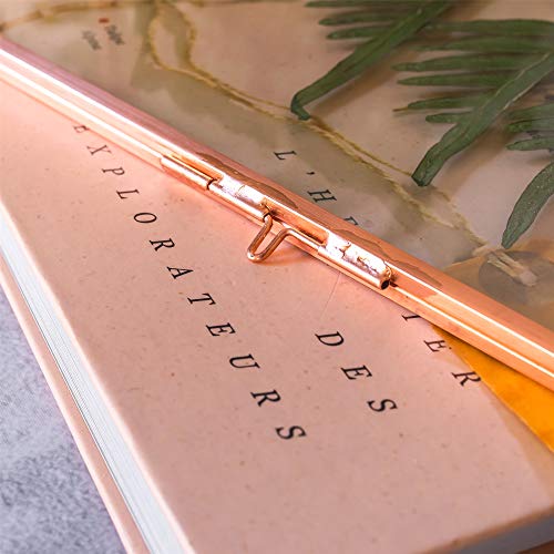 Ncyp 14.2X11Inches Hanging Glass Floating Frame For Artwork Certificate Photo Picture, Large Copper Ornament Plant Specimen Clip, Wall Vertical Decor Rose Gold Card Holder, Glass Frame Only #TOP4
