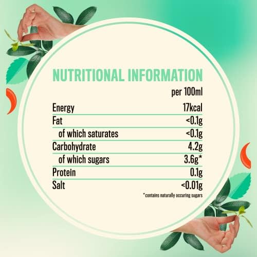 Nix & Kix | Cucumber & Mint | 100% Natural Premium Sparkling Soft Drink With Cayenne | Low Calorie & Vegan Friendly | No Added Sugar Or Sweeteners | 250ml x 24 Pack