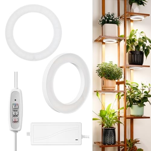 LORDEM 6.3” Ceiling Grow Light for Indoor Plants, 144 LEDs Full Spectrum Halo Grow Lamp, Under Cabinet Plant Lamp with 4/8/12H Auto Timer, 4 Dimmable Brightness Levels, Ideal for Pot Plants, Dual Head