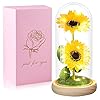 Birthday gifts for women mothers day sunflower gifts for mom from daughter mom gifts for women sister grandma wife teacher friends femalemothers day flowers giftssunflowers decor in glass dome  urban country home decor
