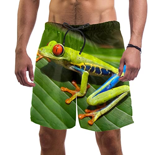 Maillots de bain pour hommes grenouille short de plage