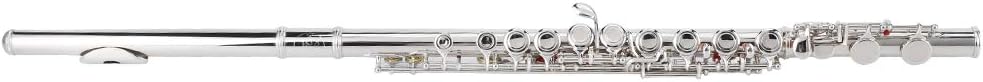 Flute, Silver Sterling Beginner Children Adult Flute Playing Musical Instruments with Storage Box