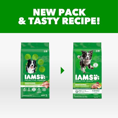 Image of IAMS Proactive Health Adult Minichunks Dry Dog Food, Chicken, 3.3 lb