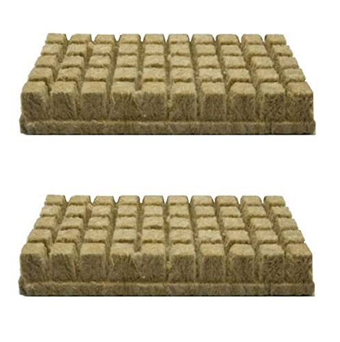 Steinwollwürfel 100 Stück Anzucht Basis Kompresse Pflanzen Wachstum Gewächshaus Hydroponisch