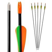 Bogenkönig Pfeile für Bogenschießen 5er Set aus Fiberglas mit Spitze Metal Kinder Bogen 28 Zoll (Rund Spitze)