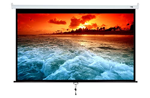 Projector Screen Manual Pull Down 100 inch 16:9 Projection Movies Screens HD Wrinkle-Free for Home Theater School Office Indoor LYH