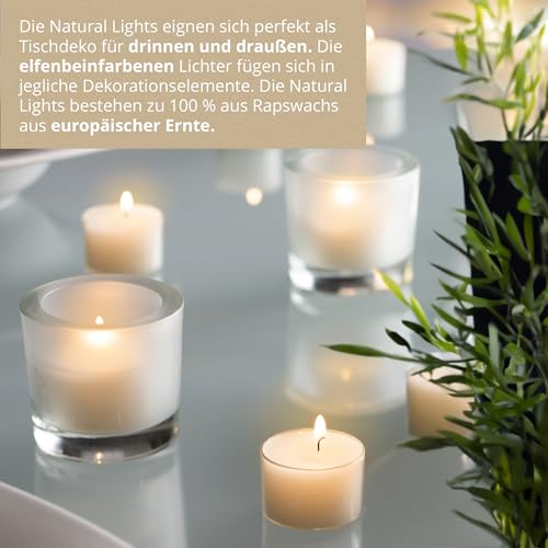 Wenzel Teelichter 7h – 40er Set vegane Raps-Teelichter – CO2-neutral, ohne Alu – transparente Hülle – Made in Germany – Teelicht für Pyramiden, Weihnachten & Notfall – plastikfrei & nachhaltig – Bild 6