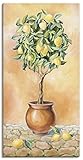 ARTland Leinwandbilder Wandbild Bild auf Leinwand 30x60 cm Botanik Pflanzen Topfpflanze Malerei Creme T5HE Zitronenbaum I