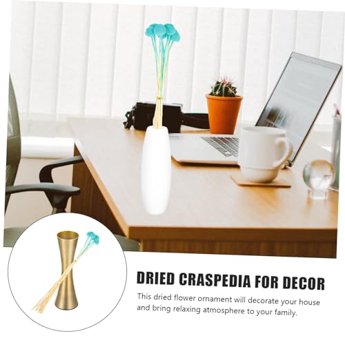 10 piezas de Craspedia seca para decoración natural miniatura 5