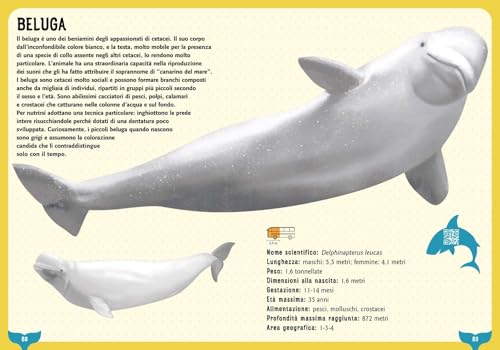 Squali, Balene E Altri Giganti Del Mare. Una Guida Illustrata Da 0 A 109 Anni. Ediz. A Colori - 6