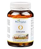 BioProphyl® Curcuma - 526 mg 95% iger Curcuma Extrakt mit 500 mg reinem Curcumin aus Curcuma longa mit Bioperine (schwarzer Pfeffer) - Vorratsdose mit 90 pflanzliche Kapseln für 3 Monate