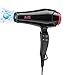 BERTA Hair Dryer, BT031, Ionic Technology, Foldable, 1875 Watts, Dual Voltage, Global Voltage Hair Dryer, Silver/Red, Ceramic, 2 Speeds, 3 Settings, Includes Nozzle, For Frizzy Hair