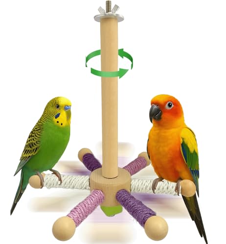 Hivovannn Bird Perch Toy, Parrot 360° Rotating Stand Perch, Wooden Interactive Wheel Parakeet Toy Bird Cage Accessories for Small and Medium Lovebirds Conures Finches Budgies-White