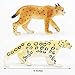 Gemini&Genius Lynx Snow Leopard Toys Set for Kids, Forest Animals Toy Figures, Woodland Animals, Wildlife Figurines, Cake Toppers, Display, Education, Play Toys for Kids Toddlers