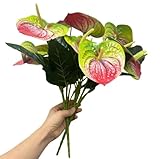 1. Les fleurs artificielles d'anthurium rouge au design réaliste de qualité supérieure présentent des pétales ultra-réalistes et des teintes rouges vives, imitant les fleurs fraîches. Chaque tige mesure 50,8 cm de haut avec un diamètre de 1 cm, parfaite pour les vases, les centres de table ou les arrangements floraux. Personne ne devinera qu'ils sont faux.