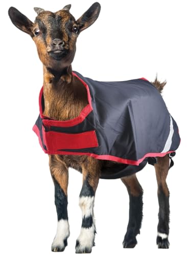 Horseware Ireland Breathable Waterproof Windproof Cold Weather Adjustable Goat Coat (100g Fill), Navy/Red, XX-Large