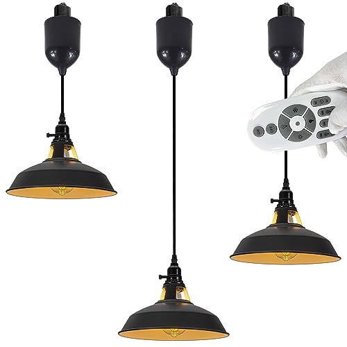 SKIVTGLAMP Adjustable Height Juno Track Lighting Pendants with 4 Ft Cord Industrial Black Iron Cage Remote Control LED Edison Bulbs Track Mount Pendant Light Decorate for Kitchen Island Customizable