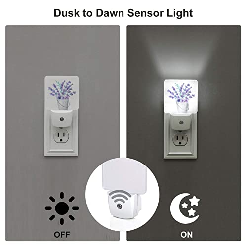 Image of Plug-in LED Night Light, Purple Tulip Hope Flowers Set of 2 Dusk-to-Dawn Auto Sensor Decor Lamp
